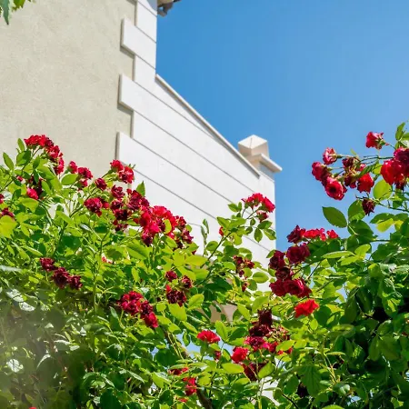 Apartment Villa Andjelka-7 By Interhome Apartment Trogir